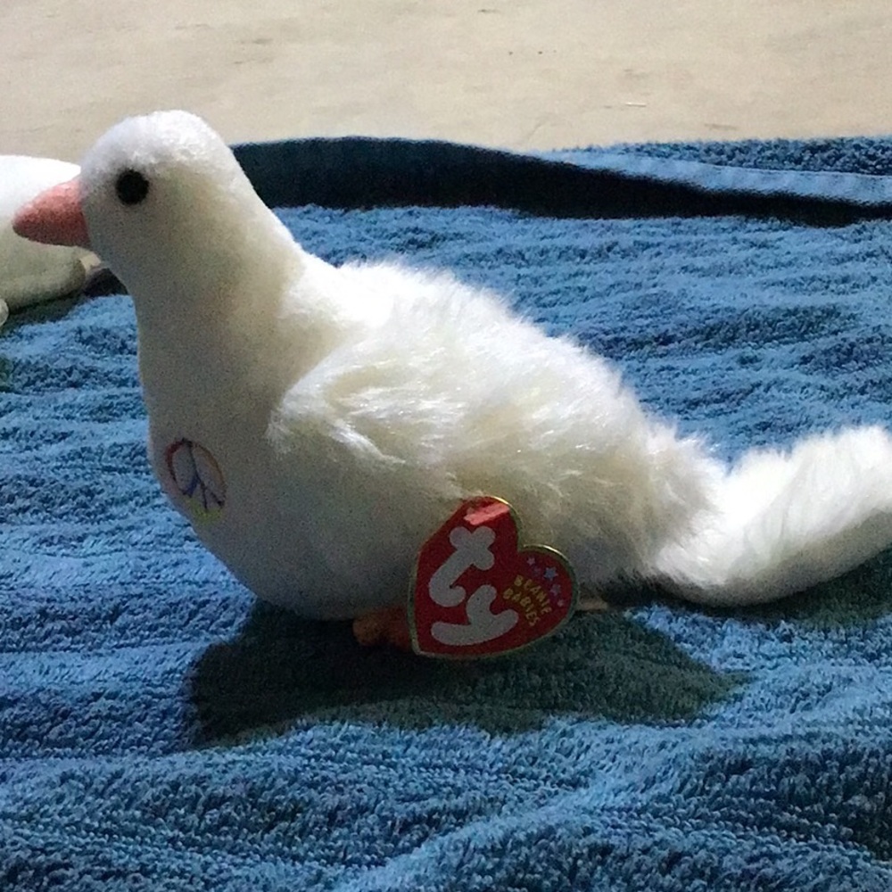 Serenity the dove